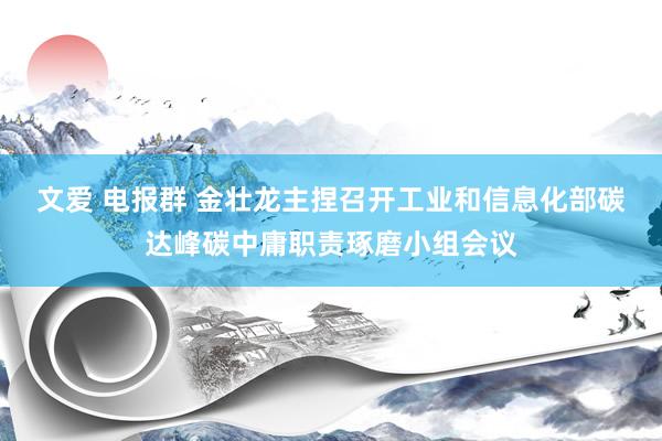 文爱 电报群 金壮龙主捏召开工业和信息化部碳达峰碳中庸职责琢磨小组会议