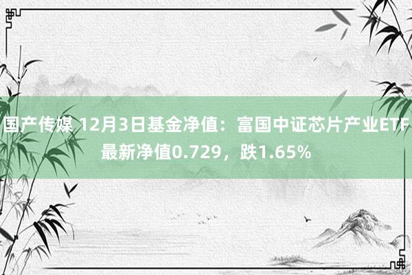 国产传媒 12月3日基金净值：富国中证芯片产业ETF最新净值0.729，跌1.65%