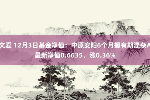 文爱 12月3日基金净值：中原安阳6个月握有期混杂A最新净值0.6635，涨0.36%