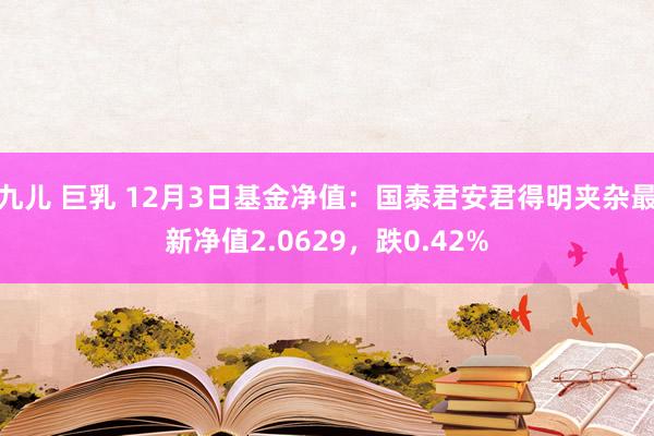 九儿 巨乳 12月3日基金净值：国泰君安君得明夹杂最新净值2.0629，跌0.42%