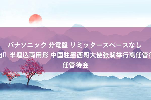 パナソニック 分電盤 リミッタースペースなし 露出・半埋込両用形 中国驻墨西哥大使张润举行离任管待会