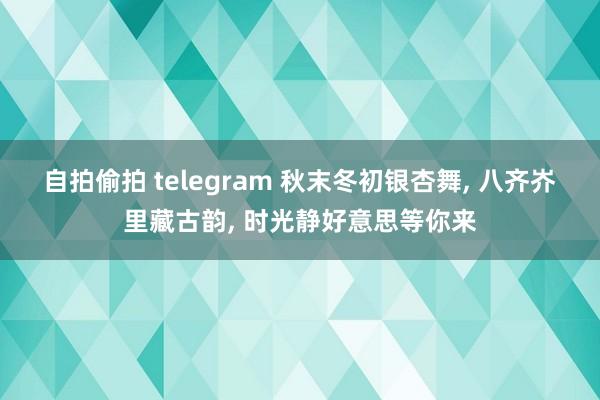 自拍偷拍 telegram 秋末冬初银杏舞， 八齐岕里藏古韵， 时光静好意思等你来