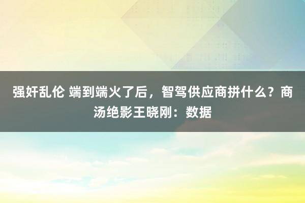 强奸乱伦 端到端火了后，智驾供应商拼什么？商汤绝影王晓刚：数据