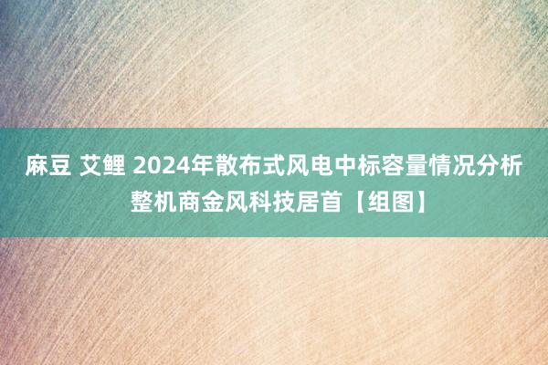 麻豆 艾鲤 2024年散布式风电中标容量情况分析 整机商金风科技居首【组图】