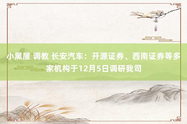 小黑屋 调教 长安汽车：开源证券、西南证券等多家机构于12月5日调研我司