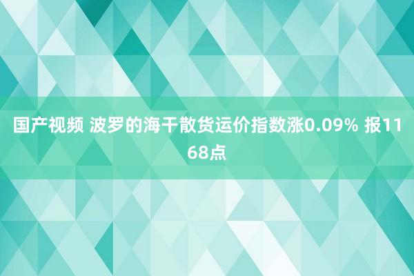 国产视频 波罗的海干散货运价指数涨0.09% 报1168点