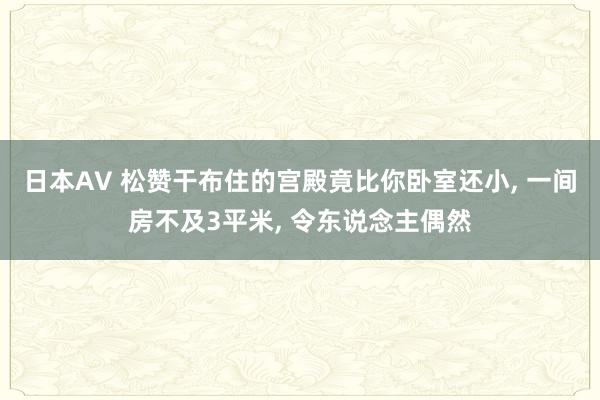 日本AV 松赞干布住的宫殿竟比你卧室还小， 一间房不及3平米， 令东说念主偶然