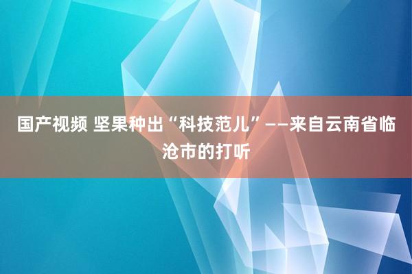 国产视频 坚果种出“科技范儿”——来自云南省临沧市的打听