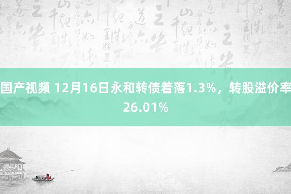 国产视频 12月16日永和转债着落1.3%，转股溢价率26.01%