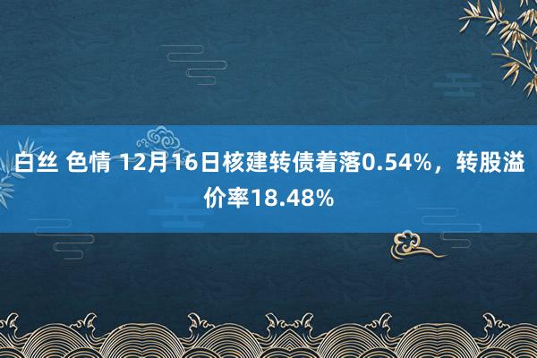 白丝 色情 12月16日核建转债着落0.54%，转股溢价率18.48%