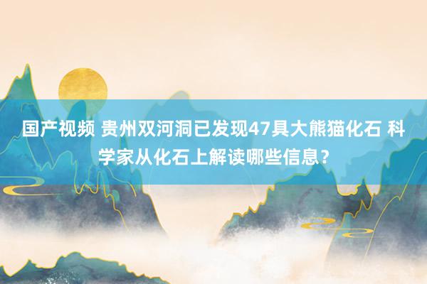 国产视频 贵州双河洞已发现47具大熊猫化石 科学家从化石上解读哪些信息？