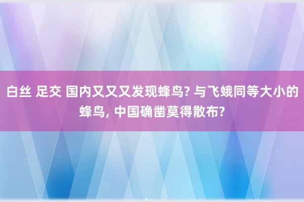 白丝 足交 国内又又又发现蜂鸟? 与飞蛾同等大小的蜂鸟， 中国确凿莫得散布?