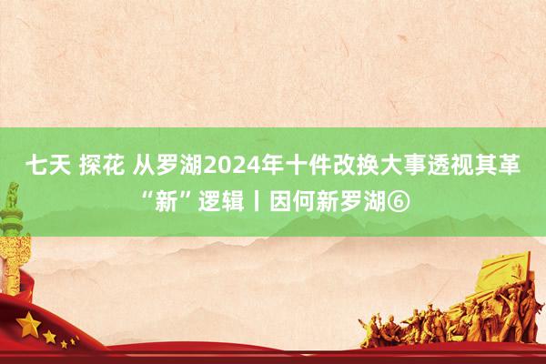 七天 探花 从罗湖2024年十件改换大事透视其革“新”逻辑丨因何新罗湖⑥