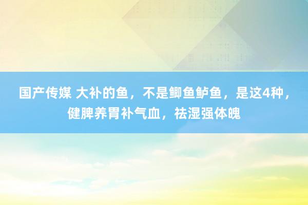 国产传媒 大补的鱼，不是鲫鱼鲈鱼，是这4种，健脾养胃补气血，祛湿强体魄