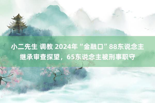 小二先生 调教 2024年“金融口”88东说念主继承审查探望，65东说念主被刑事职守